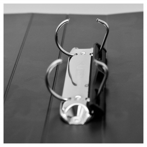 Black-2D-Ring-File